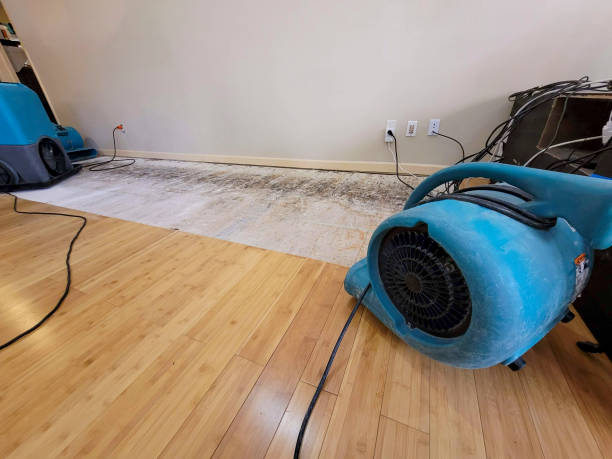 Professional Burst Pipe Water Damage technician working in Ashippun, WI